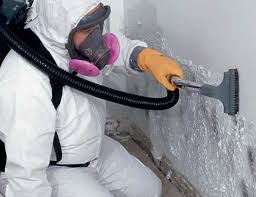 Best Air Quality Testing for Mold Spores in Southlake, TX